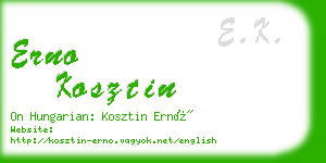 erno kosztin business card